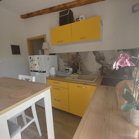 Novigrad Istria Cattleya 아파트 외부 사진